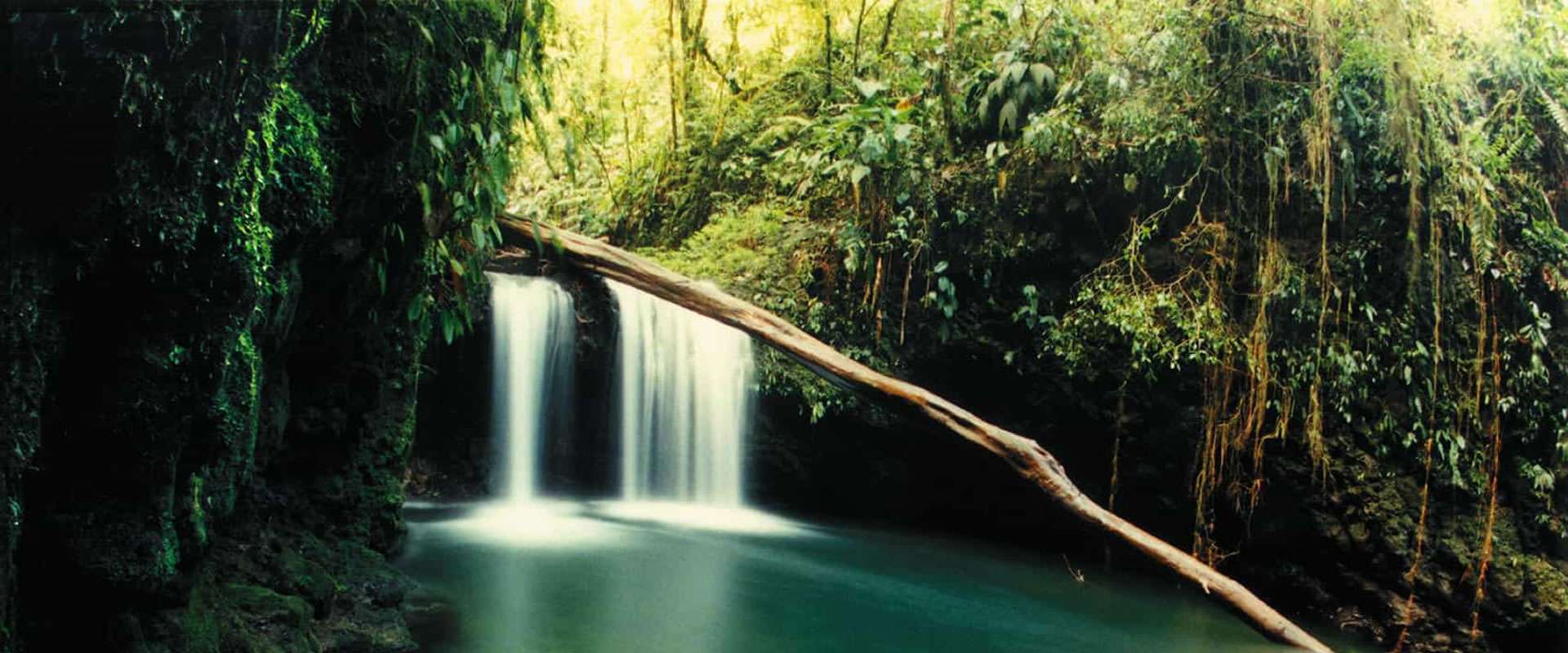 The authentic rainforest experience | Costa Rica Jade Tours