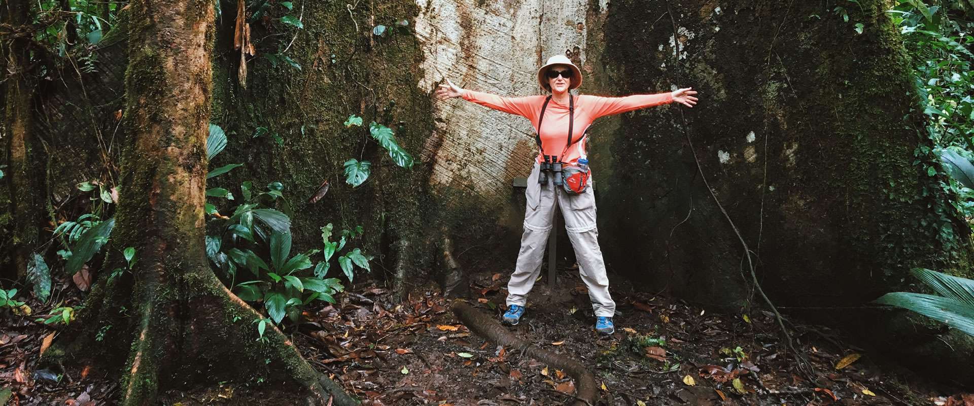 Tour de bosque Lluvioso Caribe Costa Rica  | Costa Rica Jade Tours