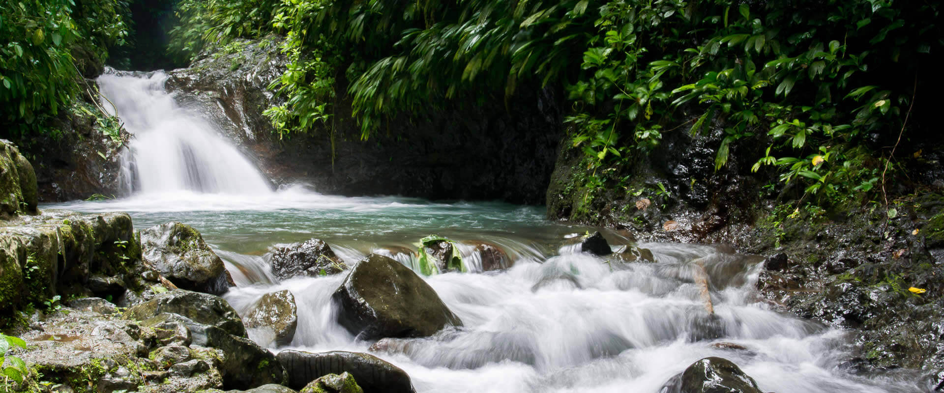 Parque Rainmaker | Costa Rica Jade Tours