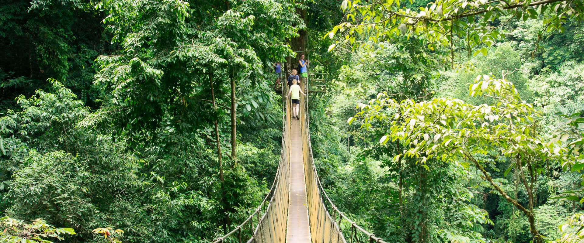 Parque Rainmaker | Costa Rica Jade Tours