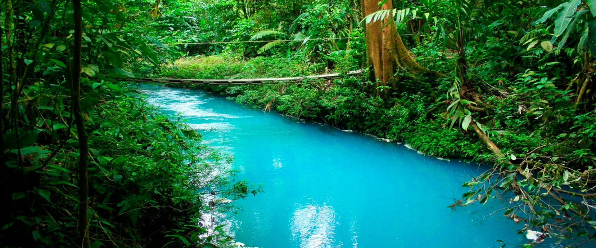 Rio Celeste National Park Guided Hike | Costa Rica Jade Tours