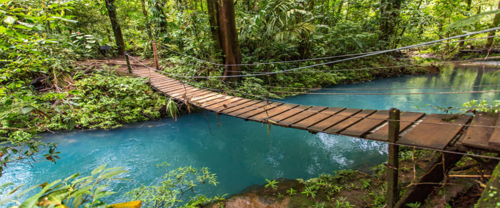 Caminata guiada al Parque Nacional Río Celeste | Costa Rica Jade Tours