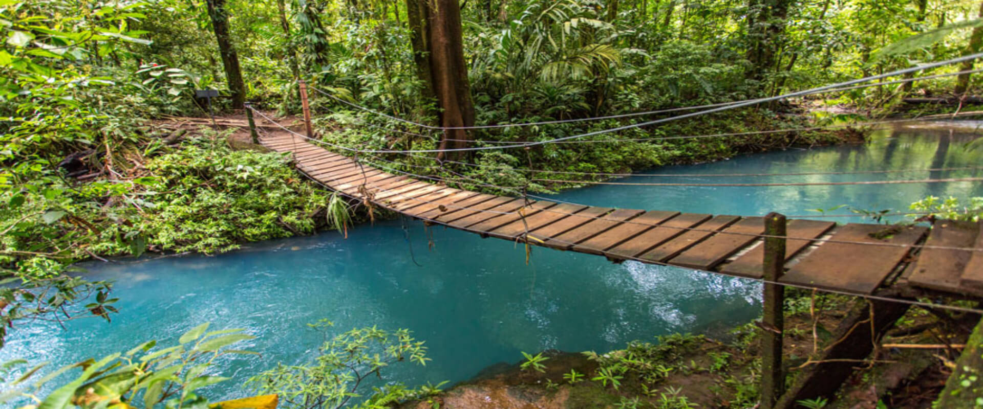 Rio Celeste National Park Guided Hike | Costa Rica Jade Tours