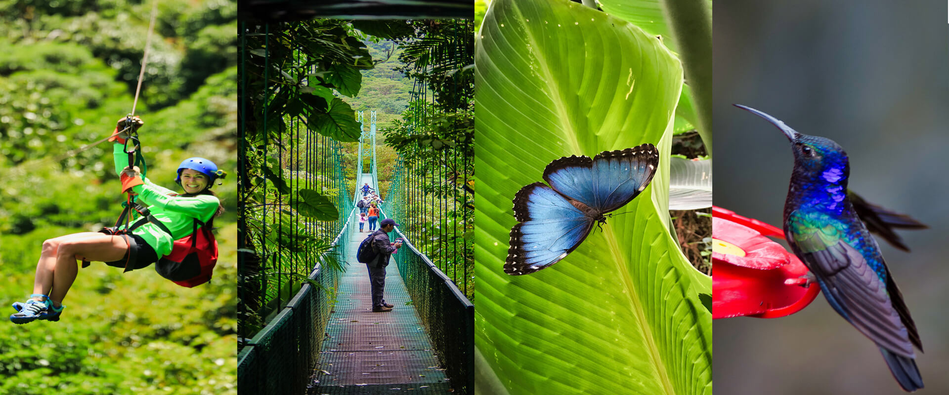 Canopy Selvatura | Costa Rica Jade Tours