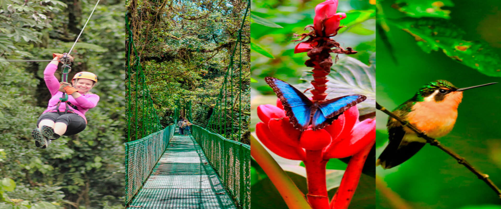 Selvatura Canopy Tour | Costa Rica Jade Tours