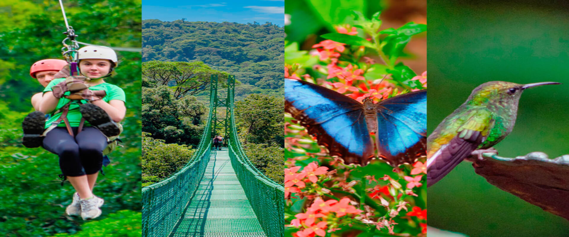 Selvatura Canopy Tour | Costa Rica Jade Tours