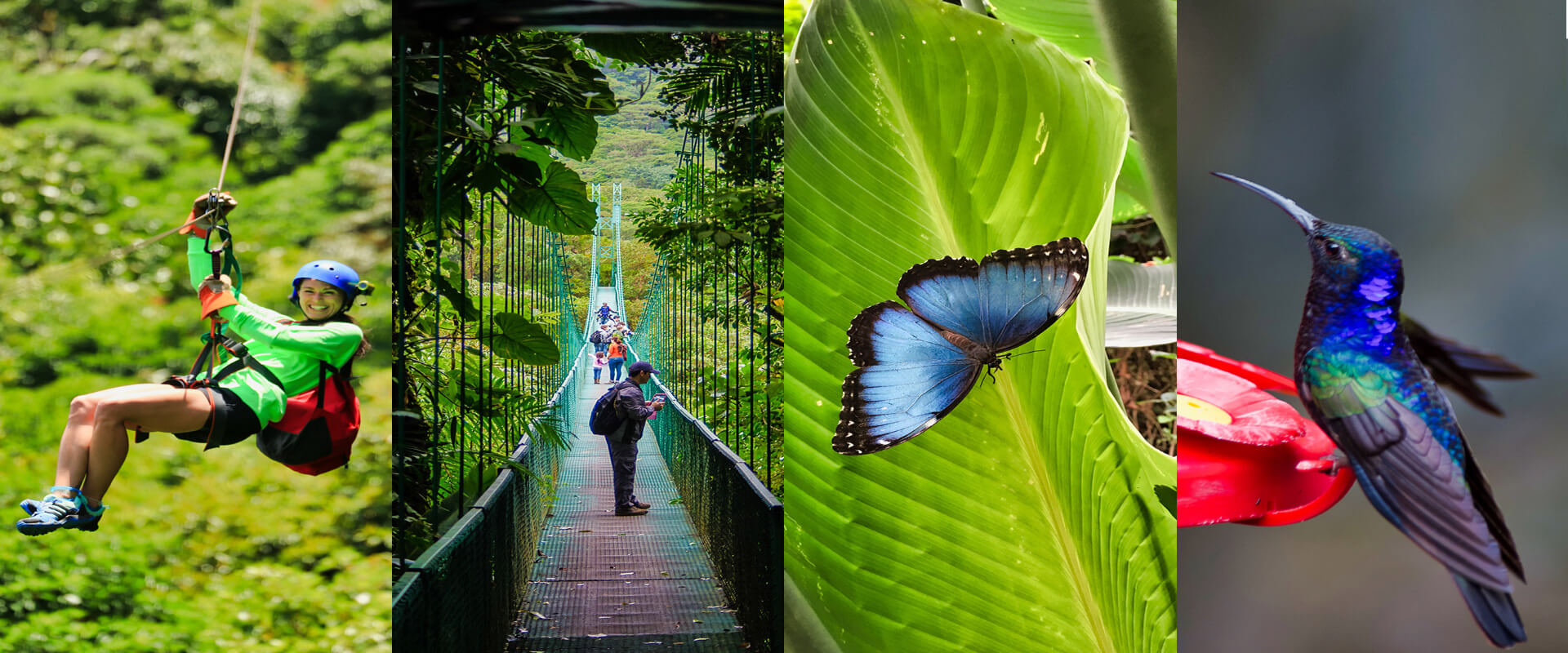 Tirolesa, puentes colgantes y mariposas | Costa Rica Jade Tours