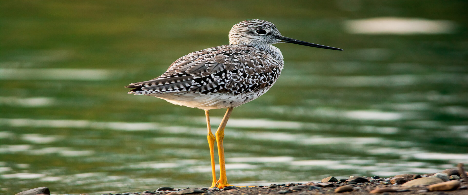 Sierpe Mangrove Tour | Costa Rica Jade Tours