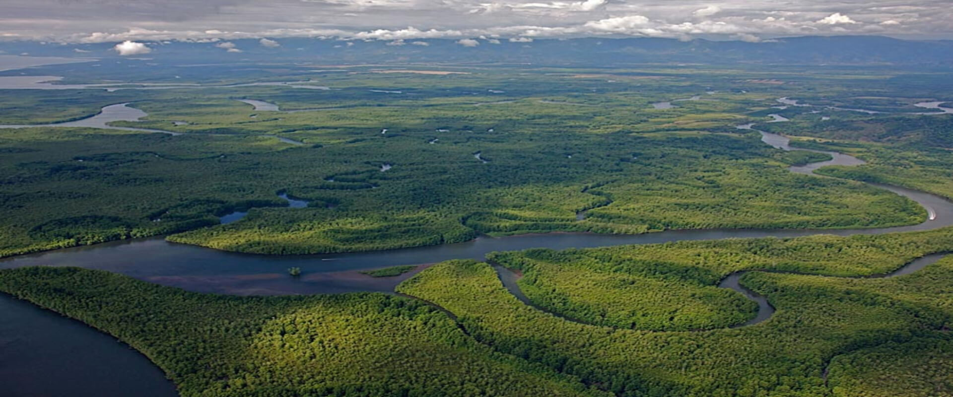 Tour de manglares en Sierpe, Bahía Drake | Costa Rica Jade Tours