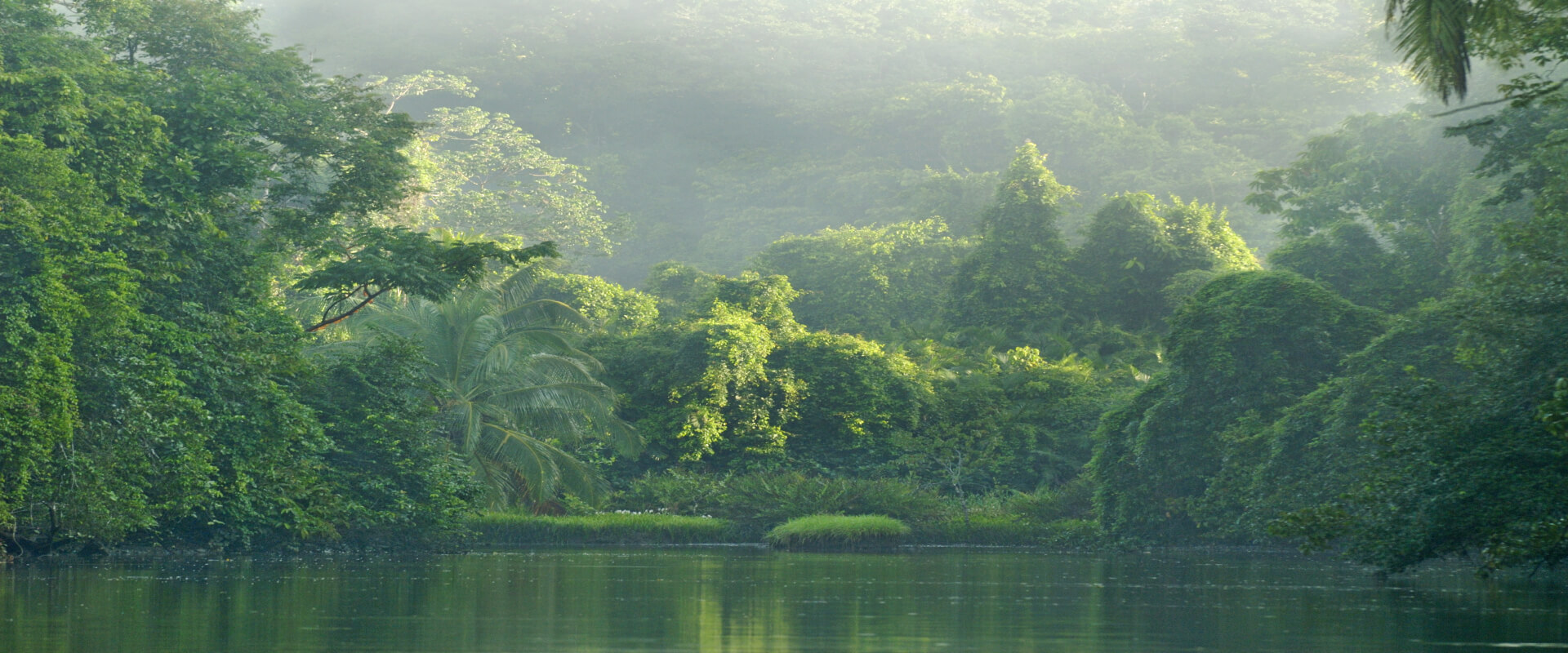Tour de manglares en Sierpe, Bahía Drake | Costa Rica Jade Tours