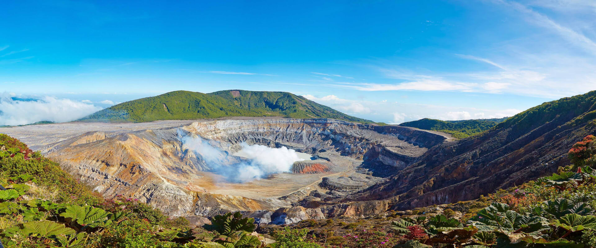 Combo Tour: Poás Volcano National Park / Doka Coffee Tour / La Paz Waterfall Garden | Costa Rica Jade Tours