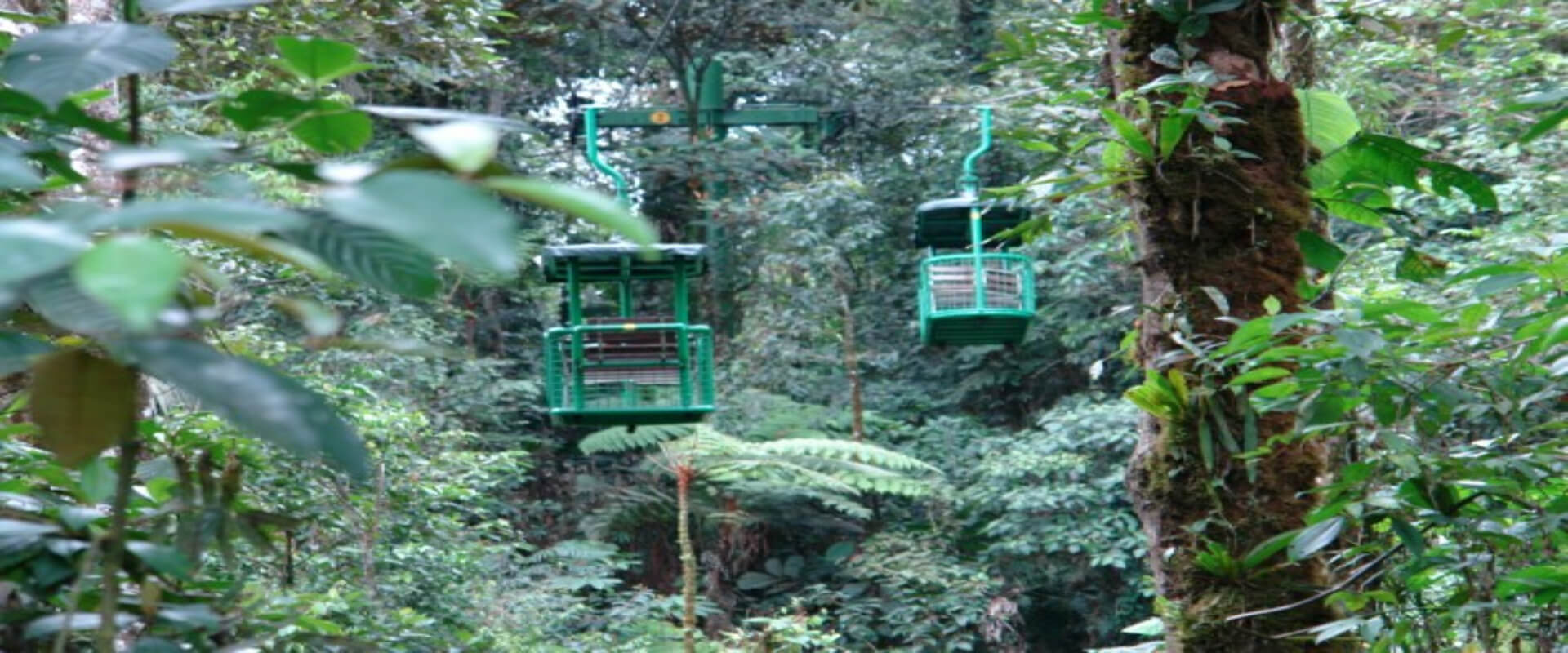 Teleférico en selva tropical | Costa Rica Jade Tours
