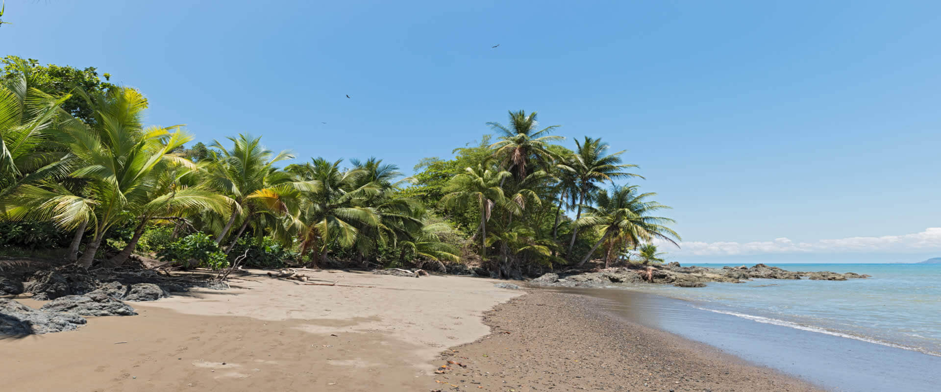 Corcovado Park (One day Tour)