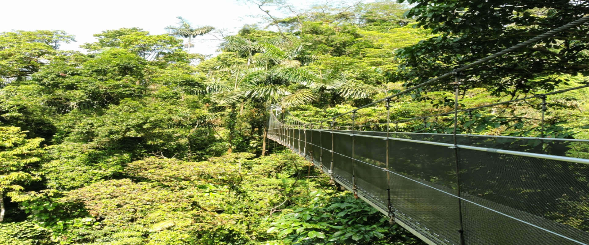 Puentes colgantes, La Fortuna, Costa Rica