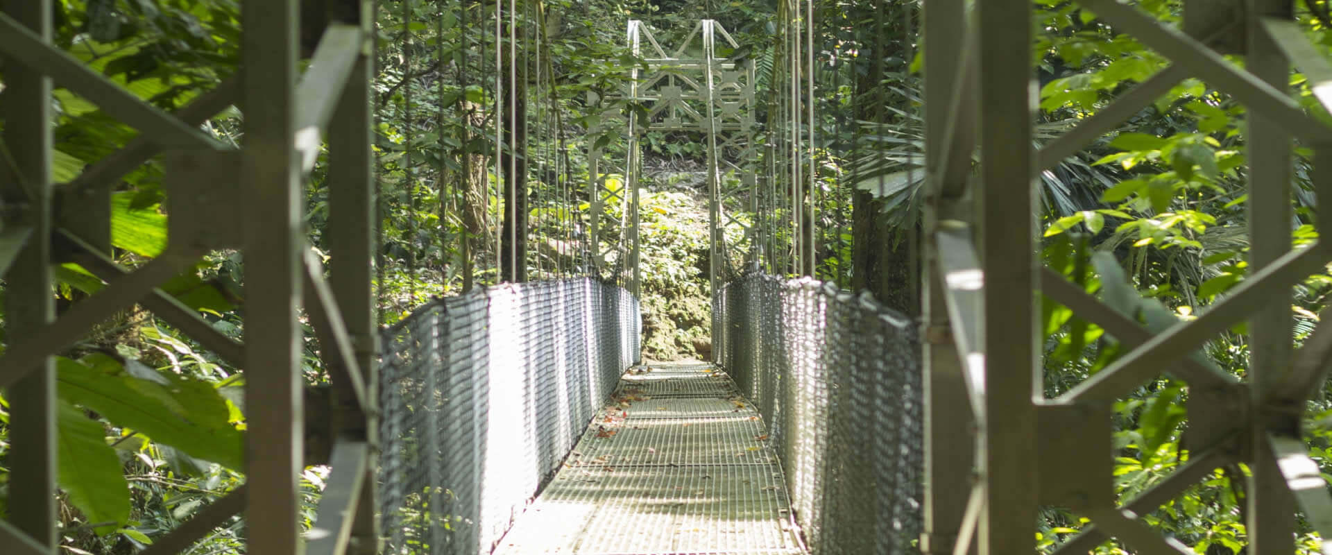 Puentes colgantes, La Fortuna, Costa Rica