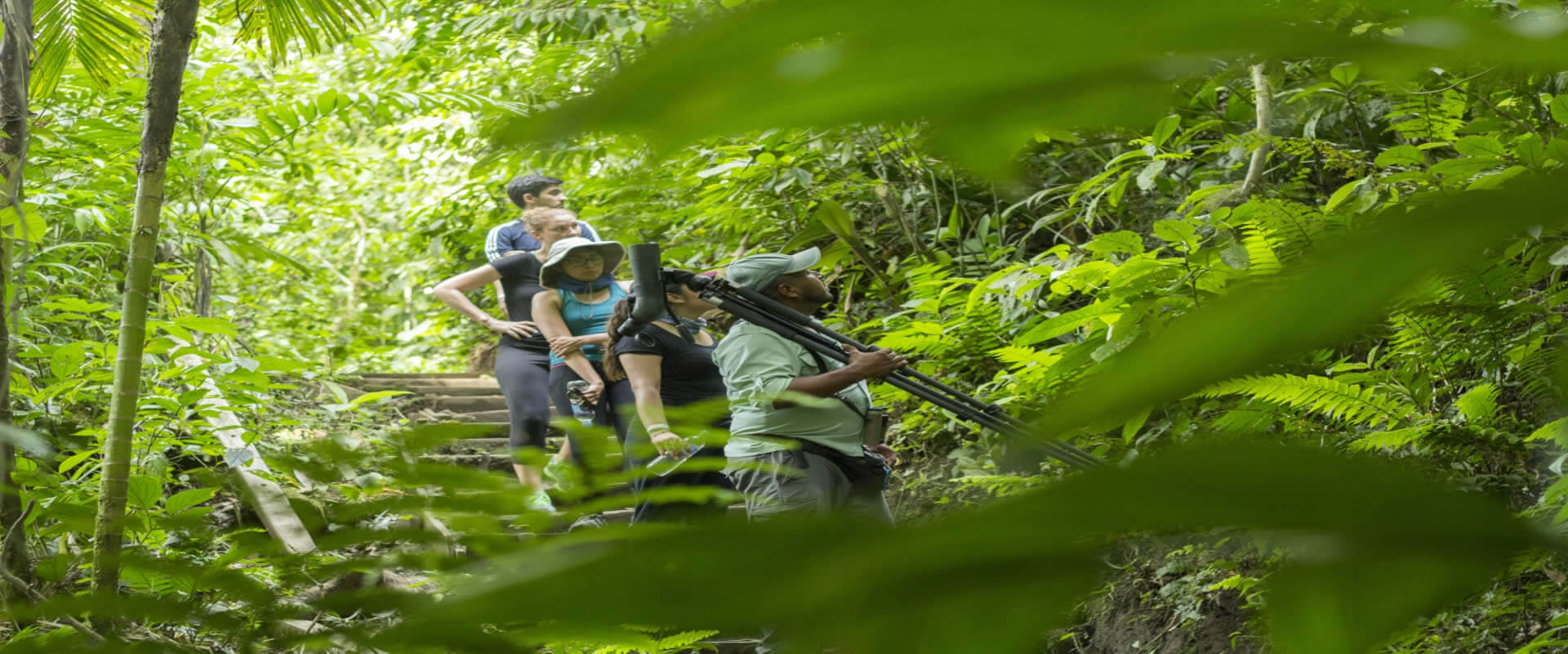 Puentes colgantes, La Fortuna, Costa Rica