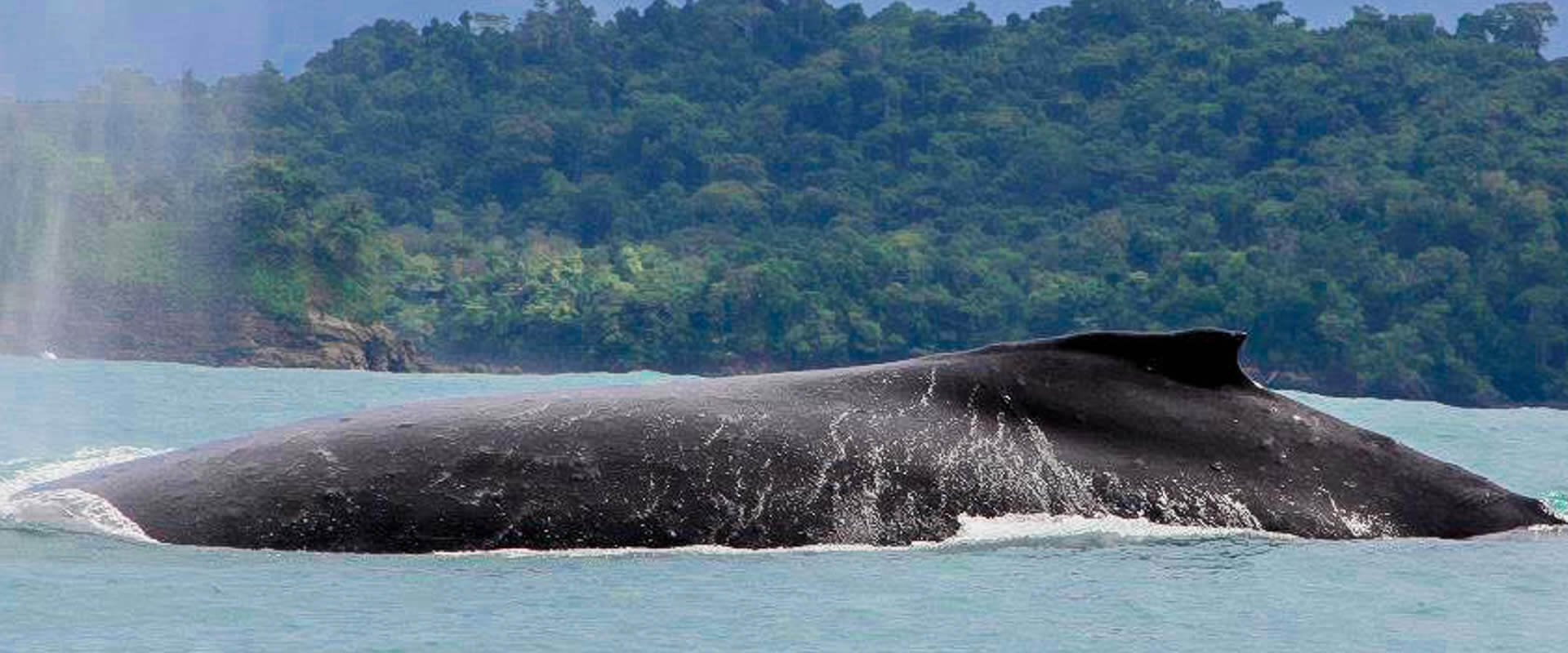 Jet Ski Manuel Antonio