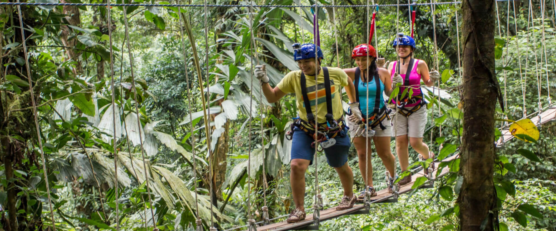 Sky Limit is a unique canopy obstacle course consisting of 12 extreme fun and challenging activities.