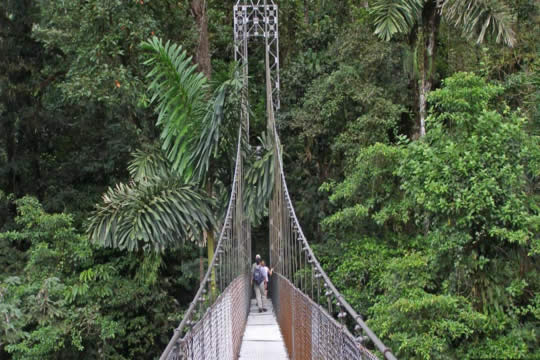 Caminata por los puentes colgantes del Parque Místico