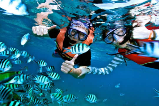 Snorkel en la isla del Caño en Bahía Drake