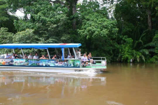 Recorrido en bote Río Frío, Refugio de Vida Silvestre Caño Negro 