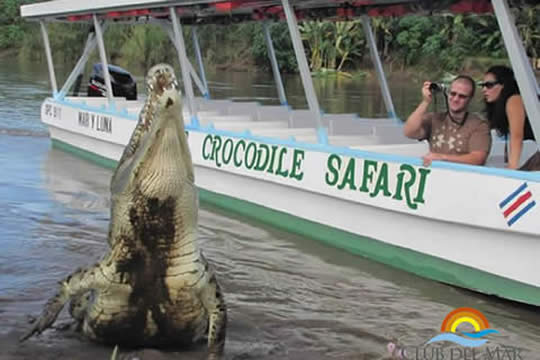 Ride & Croc's River Combos