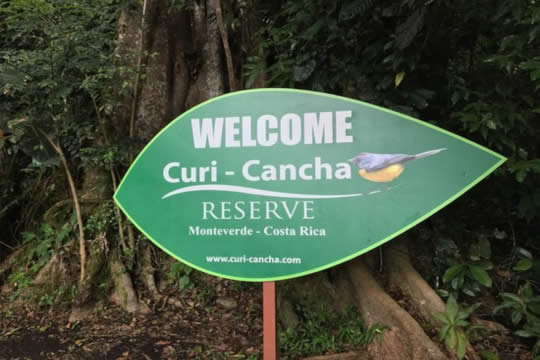 Curicancha Nature Tour in Monteverde