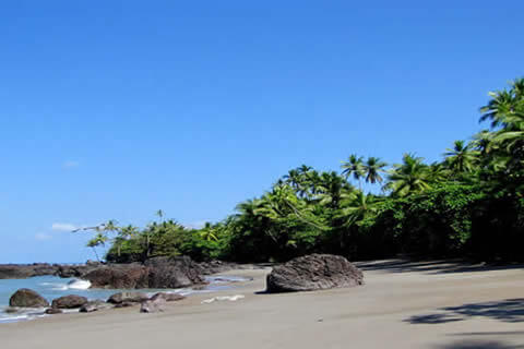 Tours in Drake Bay, Costa Rica
