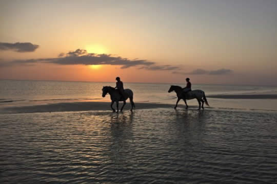 Cabalgata en Bahía Drake
