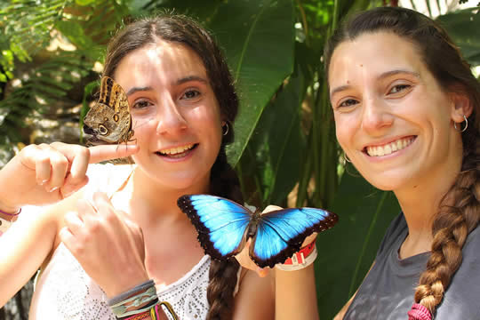 Diamante Adventure Park - Pase Discovery