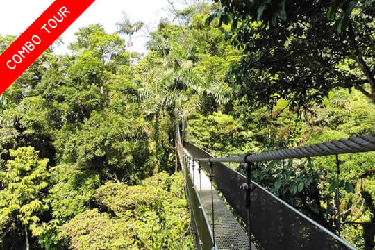 Puentes colgantes y Catarata de La Fortuna