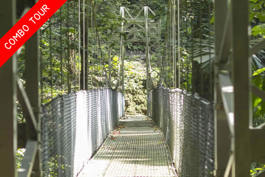 Puentes colgantes, Catarata de La Fortuna y Volcán Arenal