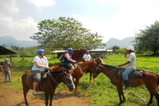 Horseback Riding Tour in Arenal