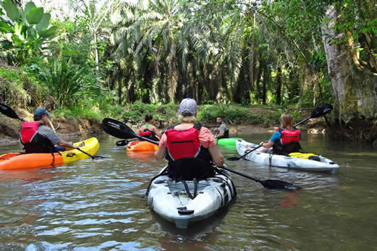 Mangrove Kayak Tour in Manuel Antonio