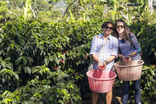 Coffee Tour in Monteverde