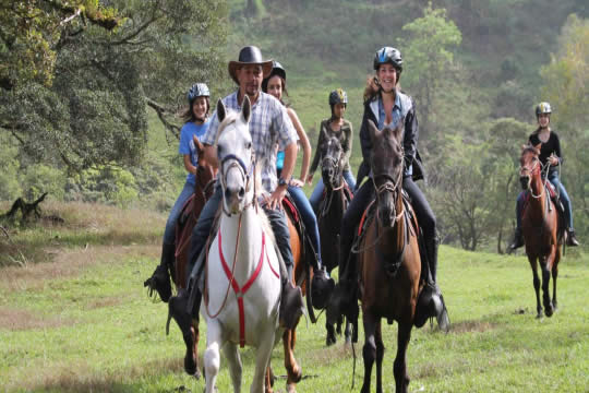 Horseback Riding Tour in Monteverde