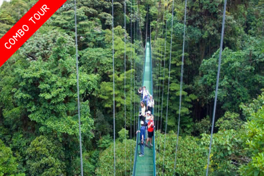 Sky Tram & Sky Walk Tour in Monteverde
