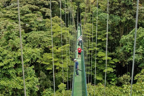 Tours in Monteverde, Costa Rica