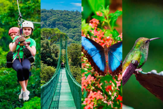 Canopy Selvatura Tour in Monteverde