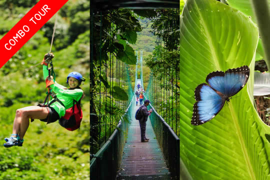 Zip Lines, Suspended Bridges & Butterflies Tour in Monteverde
