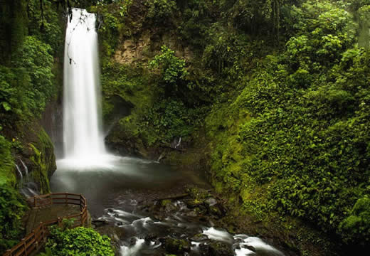 Coffee and Waterfalls Tour in San Jose