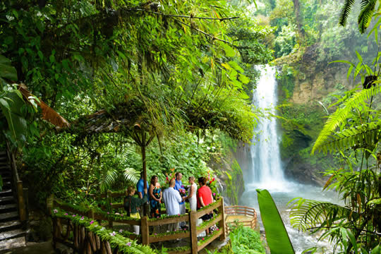 La Paz Waterfall Gardens Tour in San Jose