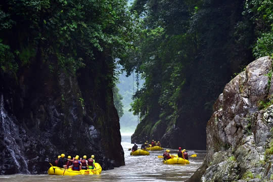 Pacuare River Rafting - 1 day trip