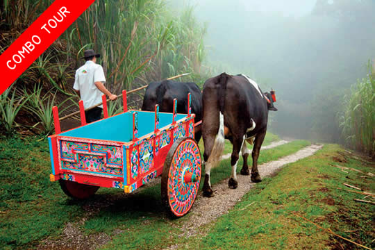 Poás Volcano National Park / Doka Coffee Tour / La Paz Waterfall Garden
