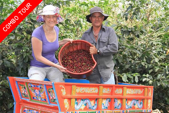 Poas Volcano / Doka / Grecia / Sarchi